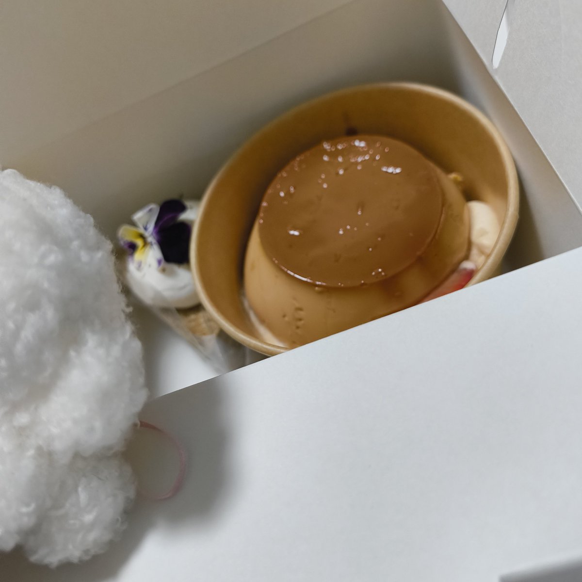☁もくもく　もっくん☁ tweet media
