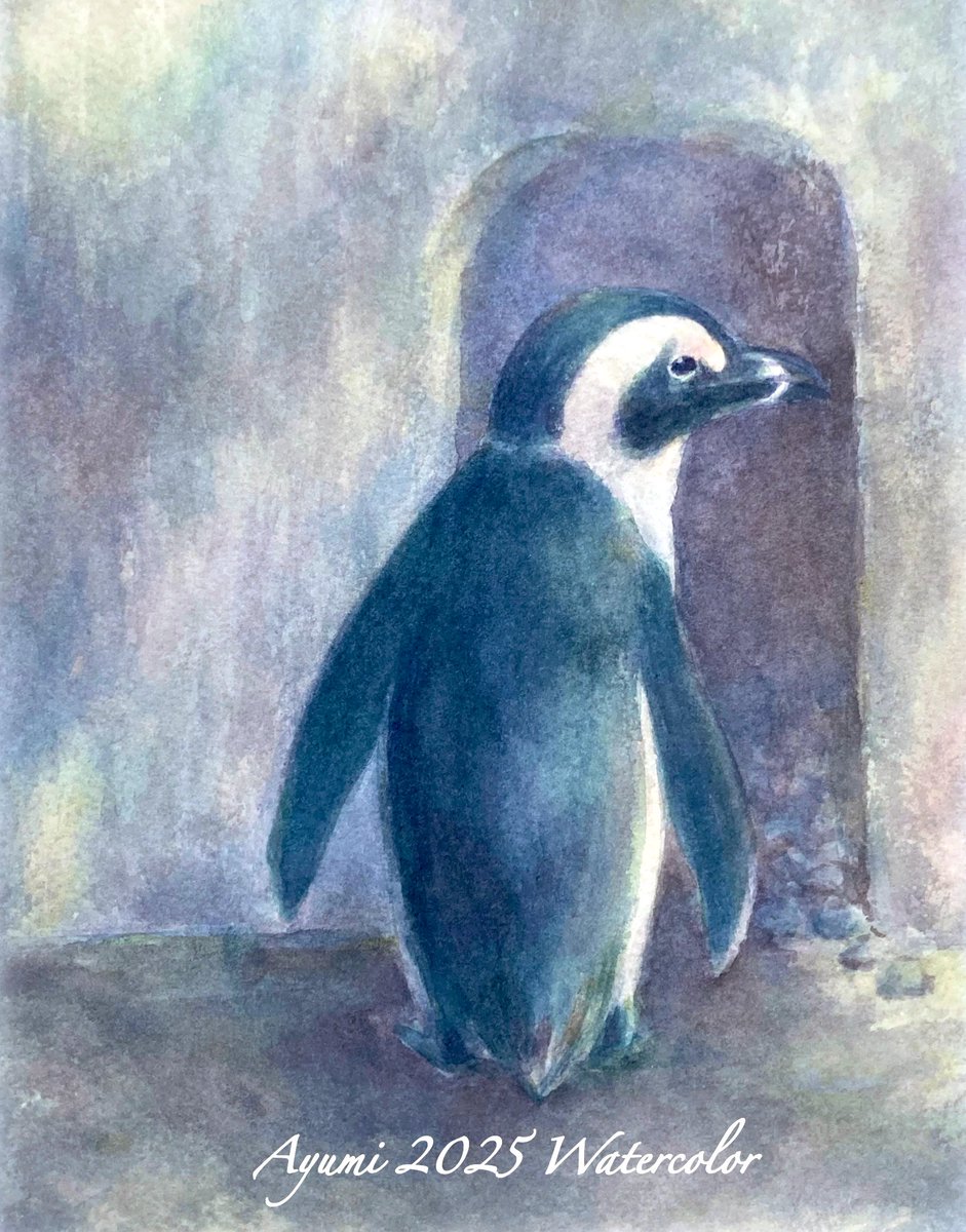 夏が近付いてくると、ペンギンを描きたくなるのは私だけかな