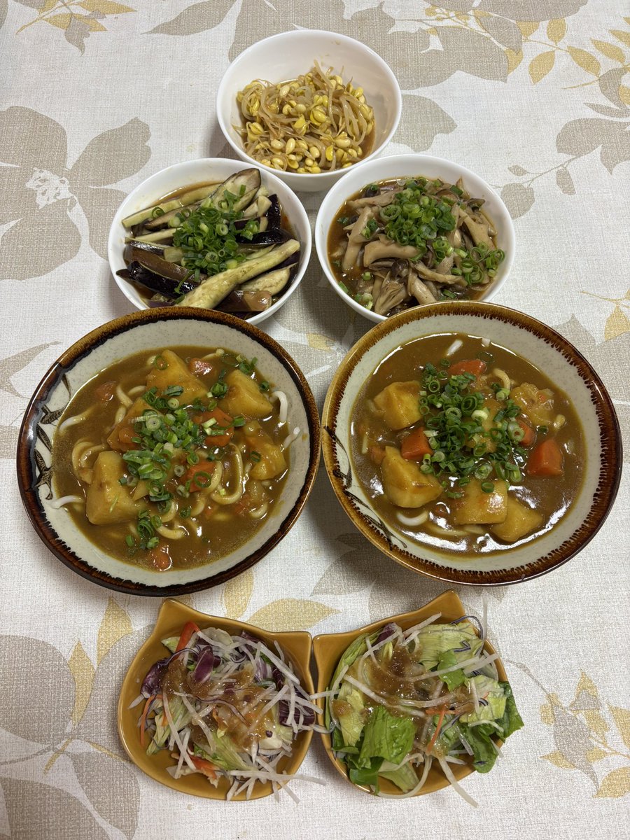 ヴィーガンカレーうどんと
３種のヴィーガンおかず

あるよ💚

#ヴィーガン #カレーうどん #麻薬ナス
#麻薬きのこ #もやしのナムル