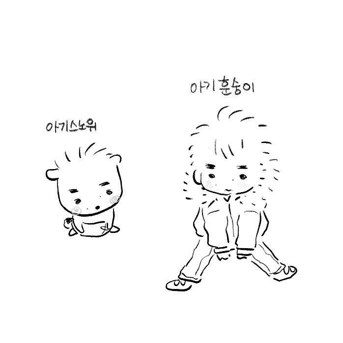 잡식 tweet media