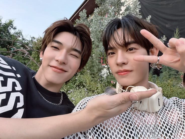 lys tweet media