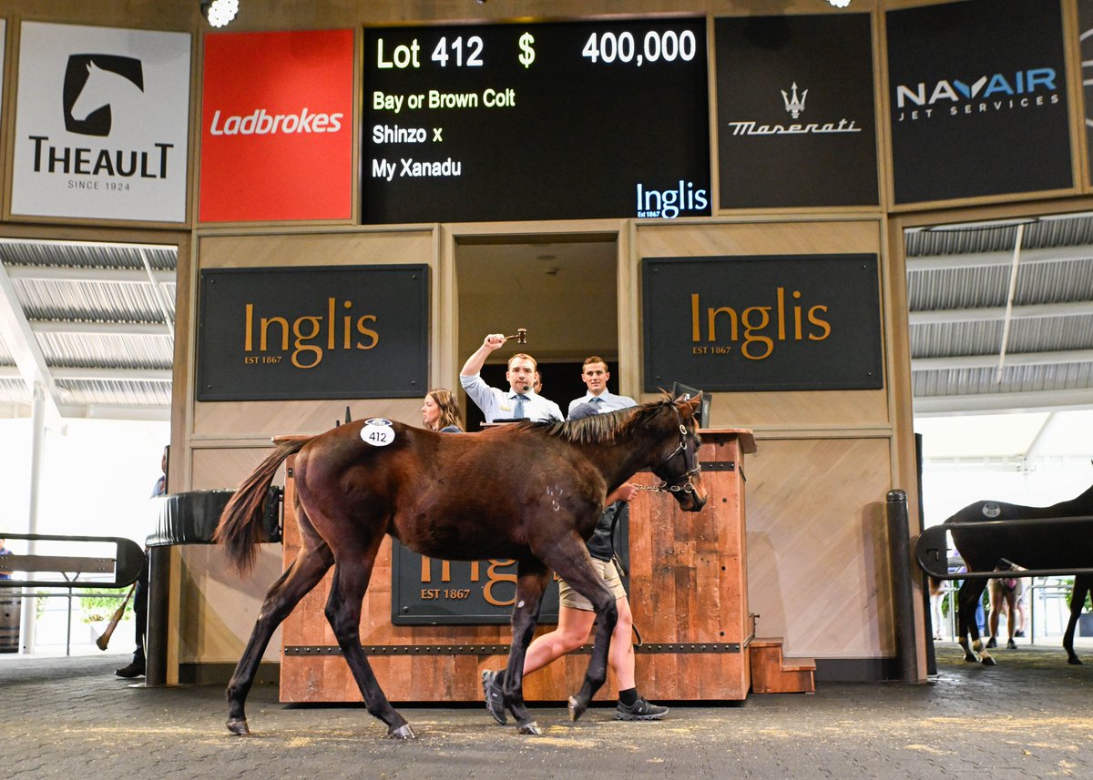breednet's tweet photo. Another big day for Shinzo as Inglis Weanling Sale concludes as a record breaker - Fairhill Farm leading vendor by aggregate https://t.co/rCHFJEfZnI @inglis_sales @CoolmoreAus @AlmaValeTB @FarmFairhill https://t.co/znscg9xJ0L