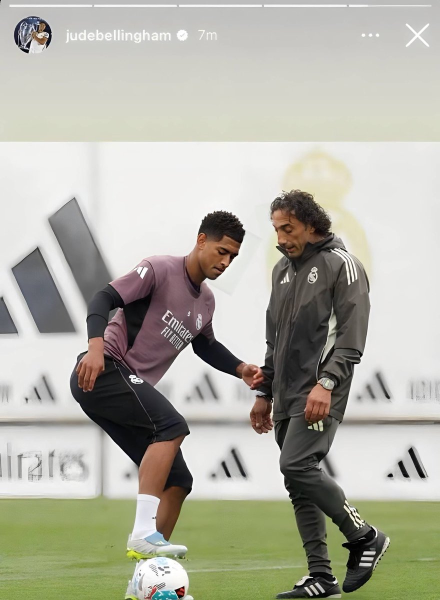 (𝐟𝐚𝐧) 🇵🇹 tweet media