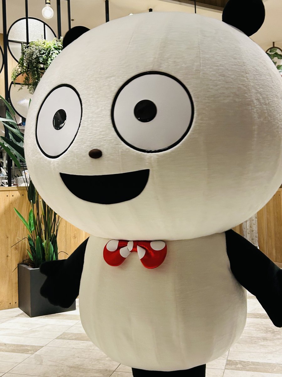 ショコラ tweet media