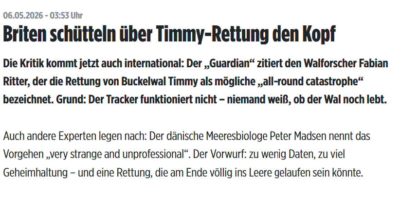 Linda Grünberg tweet media