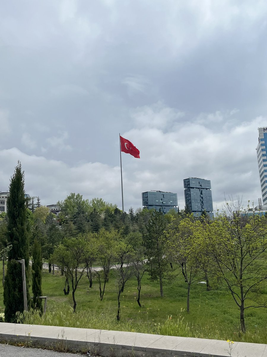 beyza tweet media
