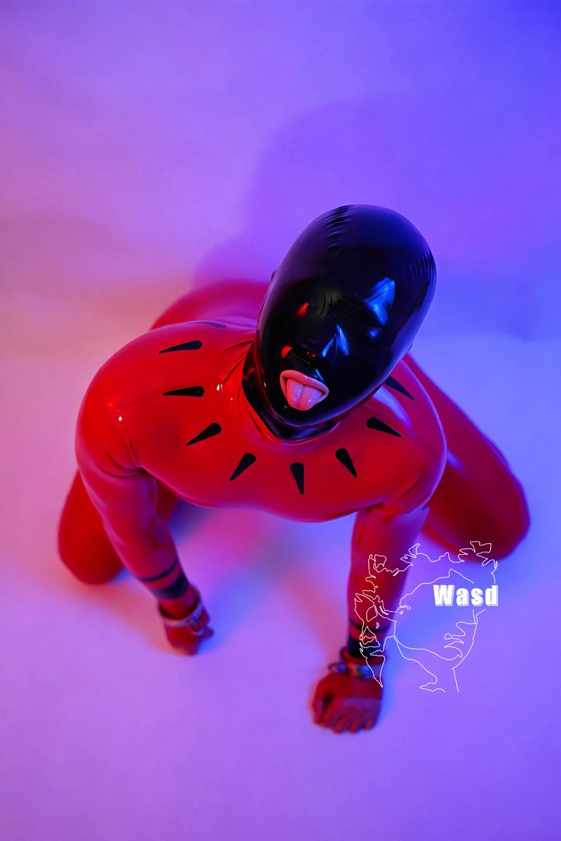 Wasd tweet media