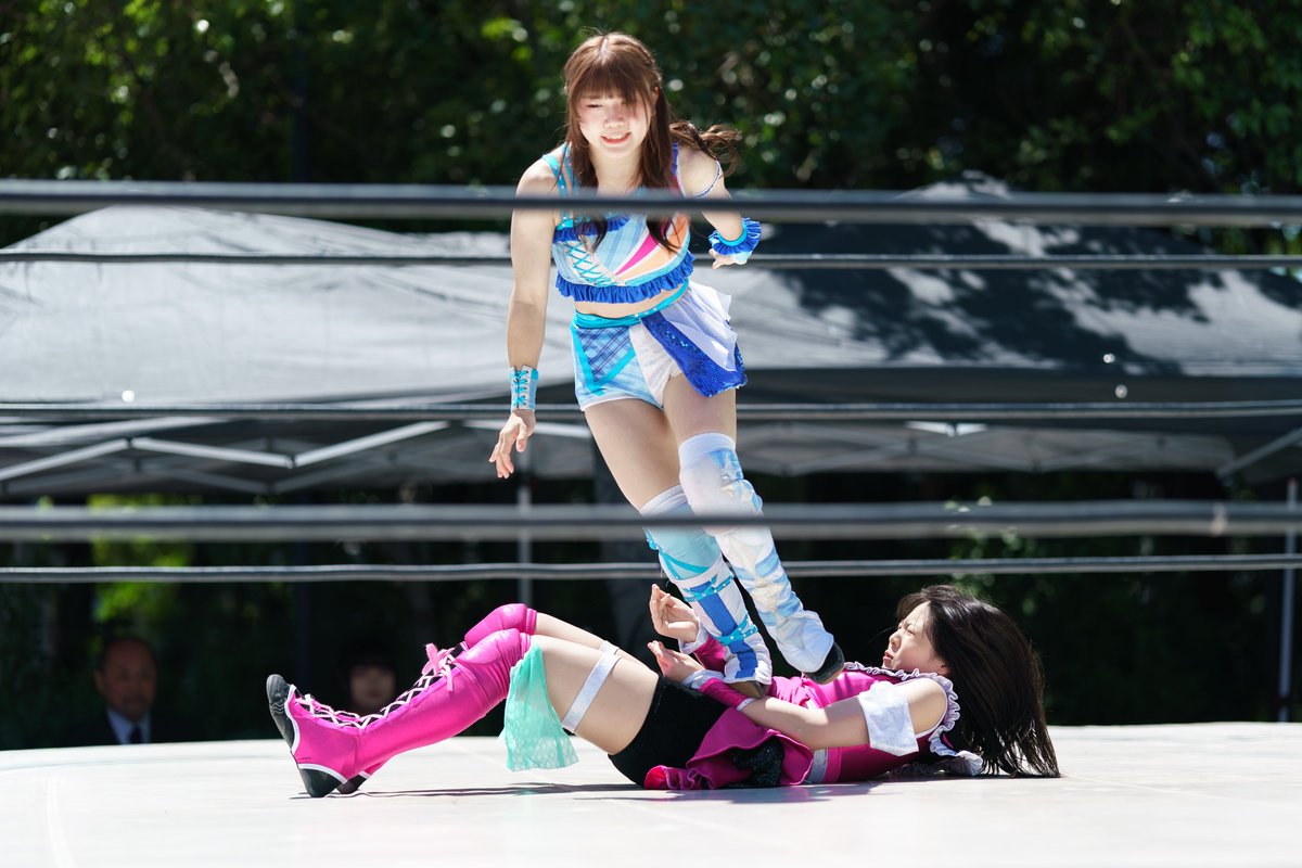 ＴＯＫＩＦＵＪＩ tweet media