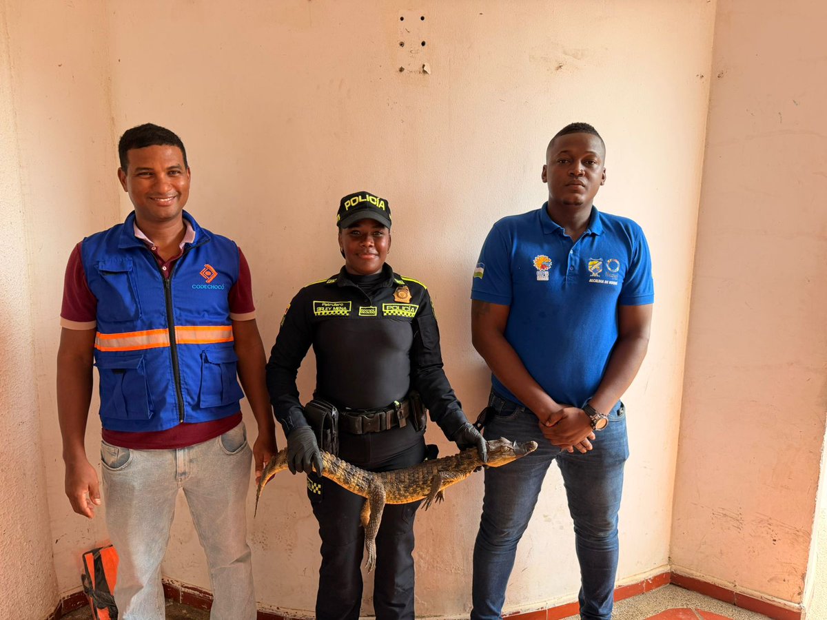 Departamento de Policía Chocó tweet media