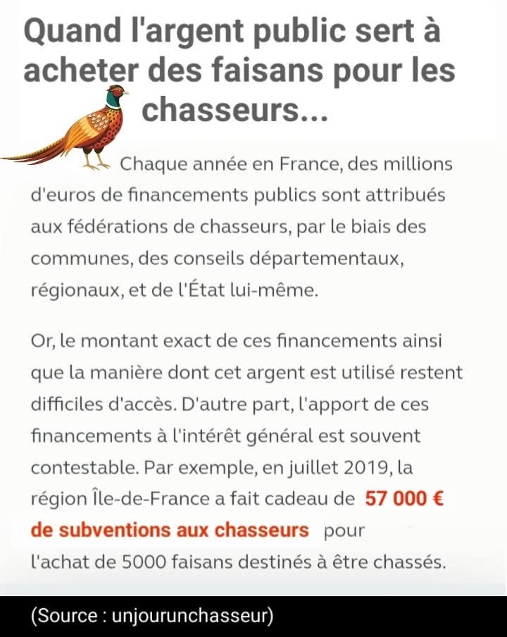 Adea Claude tweet media