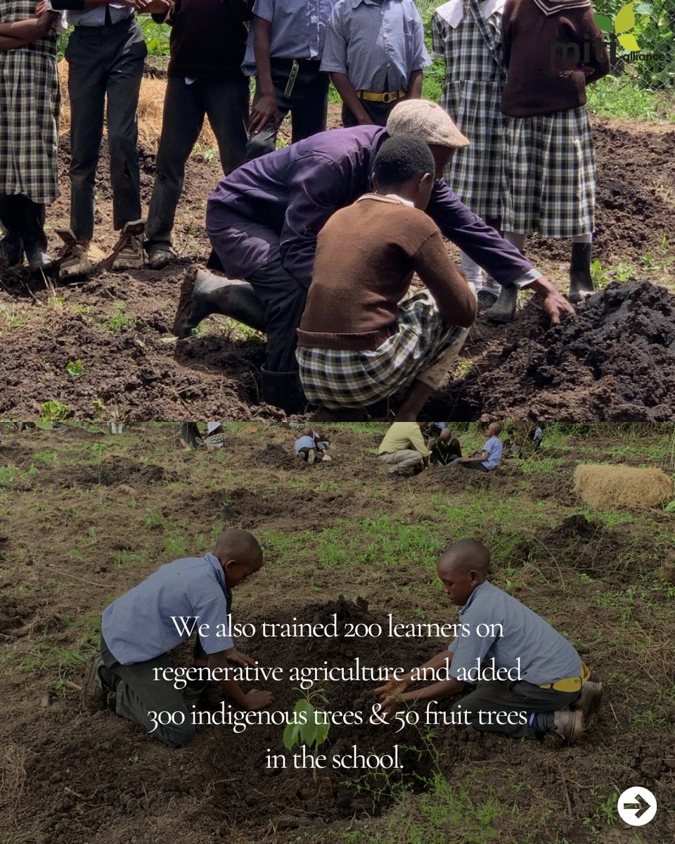 MitiAlliance's tweet photo. We’re proud to share the progress of our Nyariginu Kitchen Garden project.
“During the April holiday, we had a good experience watering the garden and weeding. The best part is that we got vegetables to take home and this made me very happy.”
— A Grade 6 Student.
#kitchengarden https://t.co/FeUgyaXWZ6