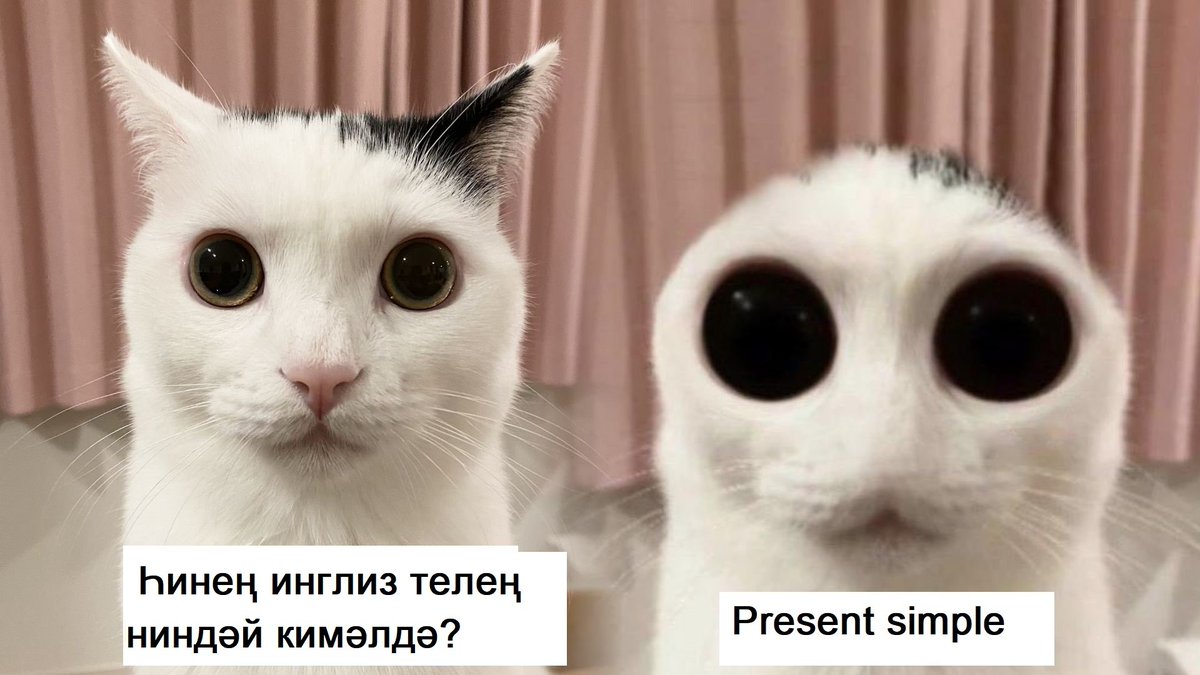 фем кыз, квир апай өфөнән 💅 tweet media