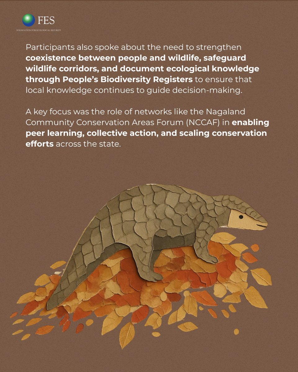 fesforcommons's tweet photo. Read more here: https://t.co/Kfk8Heja1h
#PromiseOfCommons #CommunityConservation #Nagaland #Biodiversity #WildlifeConservation #Commons #Restoration #CommunityLedAction #Collaboration #CommunityStewardship #StrongerTogether #GenerationRestoration https://t.co/URbiaX5im8