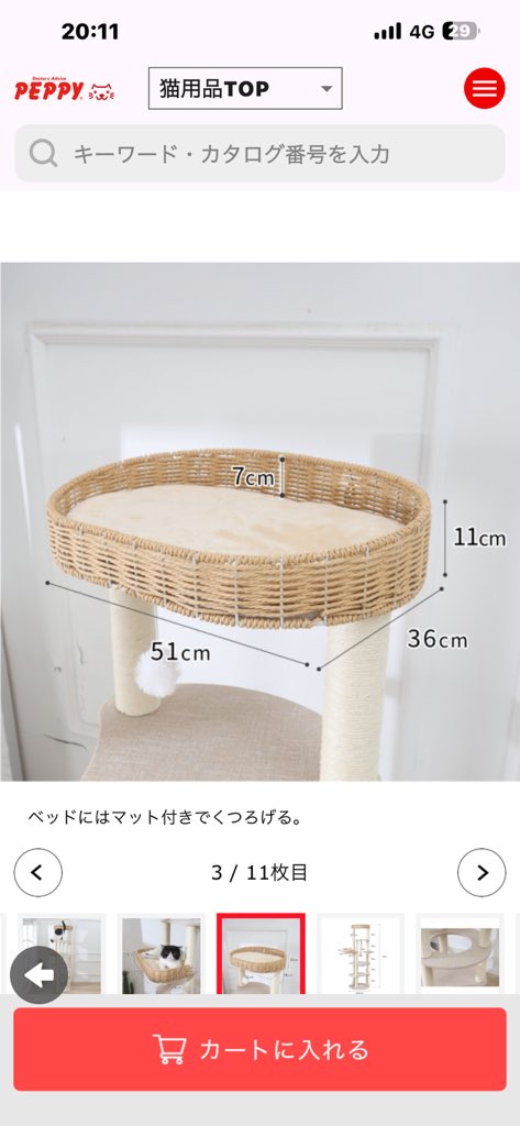 ぢゃむ tweet media