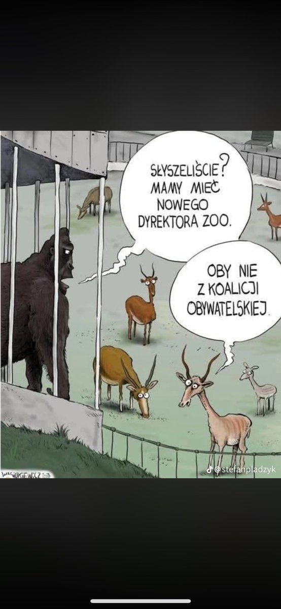 Lechia tweet media