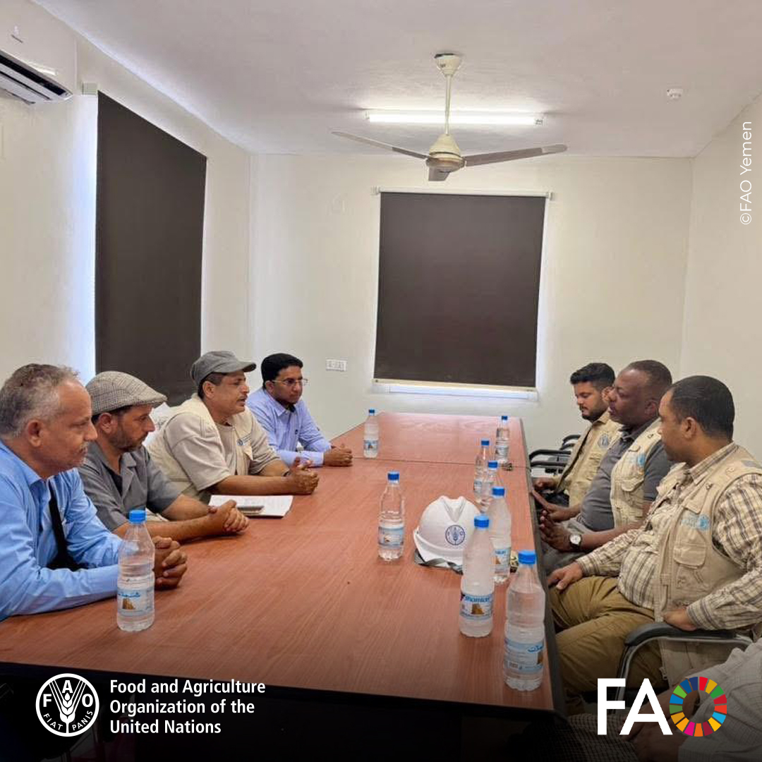 FAO in Yemen tweet media