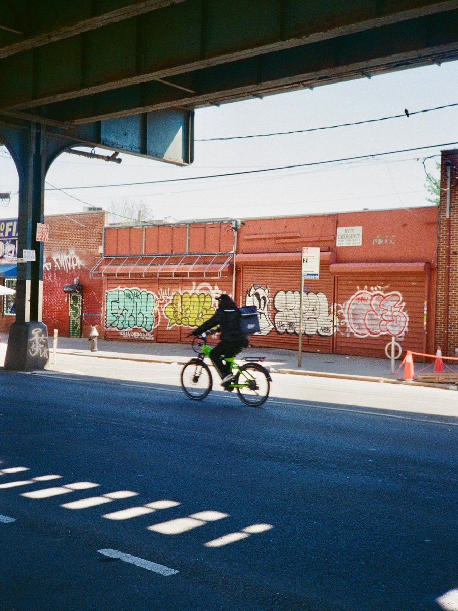 FromTheBronx tweet media