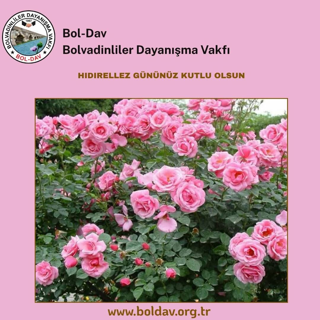 boldavankara's tweet photo. HIDIRELLEZ GÜNÜNÜZ KUTLU OLSUN

Hıdırellez’in; sağlık, huzur, bolluk, bereket, birlik ve beraberliğimize vesile olmasını diliyor, bayramınızı en içten dileklerimizle kutluyoruz.

https://t.co/hWETURucCg

#boldav #bolvadin #ankara #afyonkarahisar #hıdırellez https://t.co/AIcxmgyJ05