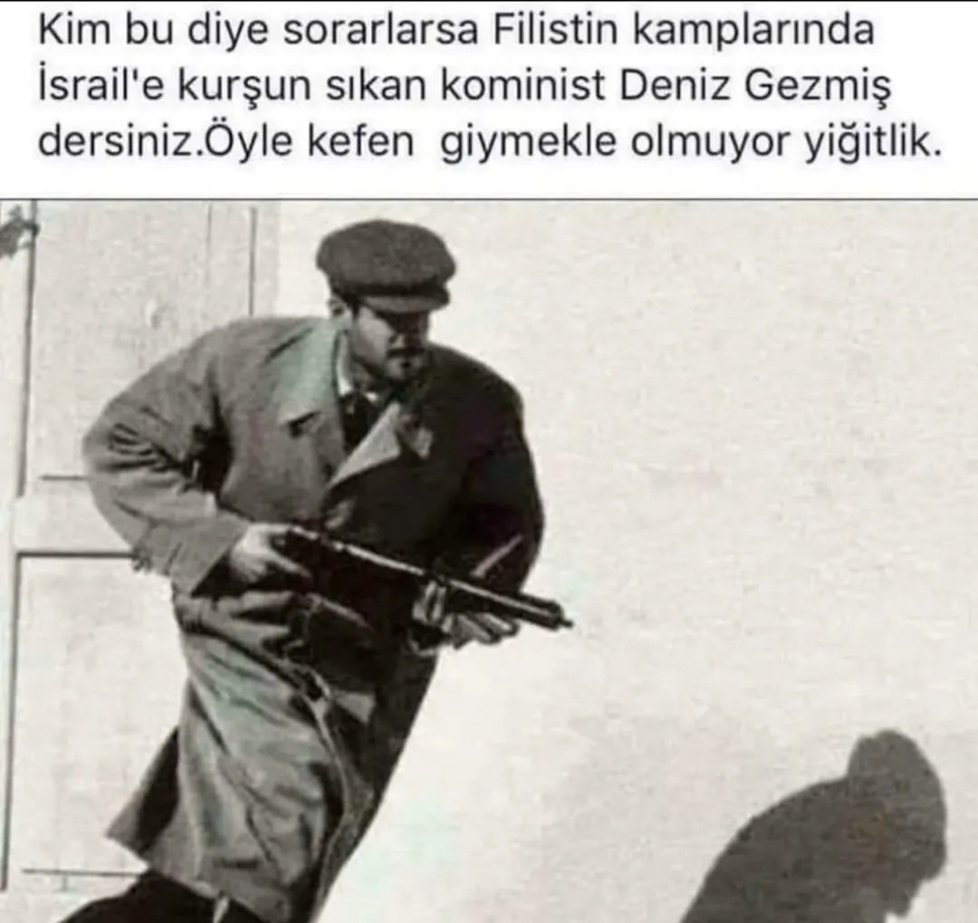 Ali Mustafa YILDIRIM tweet media