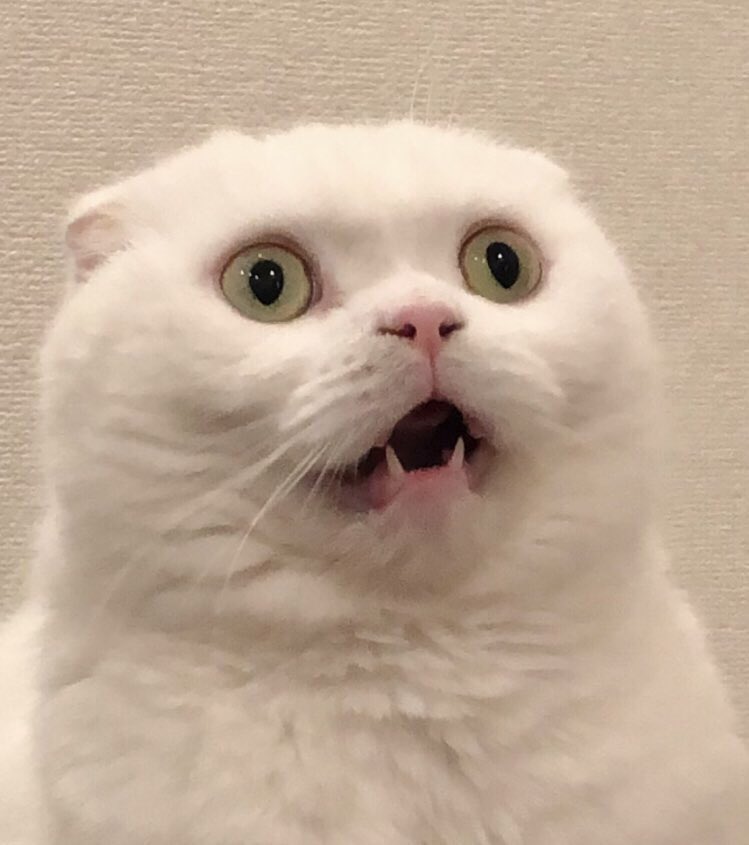 ゴールデンウィーク…
おっ…おわっ…

おわり…！？！？ https://t.co/Th9R3R9dCG