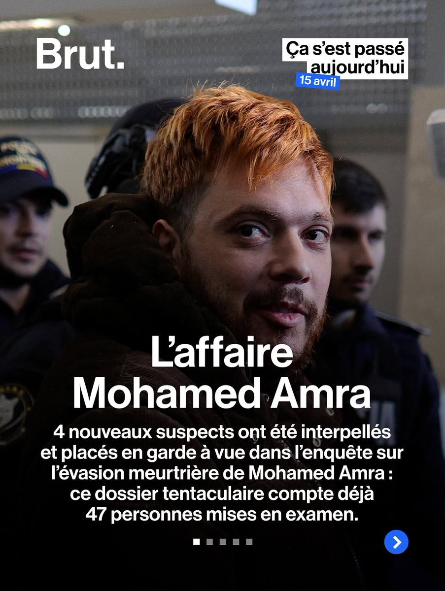Brut. tweet media