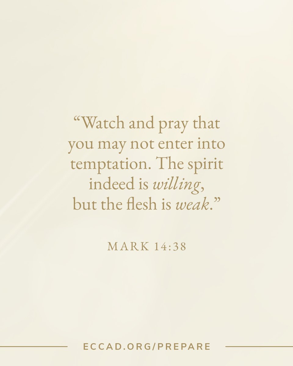 eccabudhabi's tweet photo. See you this Sunday at 10 am for our worship gathering as we hear God’s Word from Mark 14:26–52 preached.

You can view the order of worship and song playlist at https://t.co/I2RTBipGSv. https://t.co/zleVPIR5NH