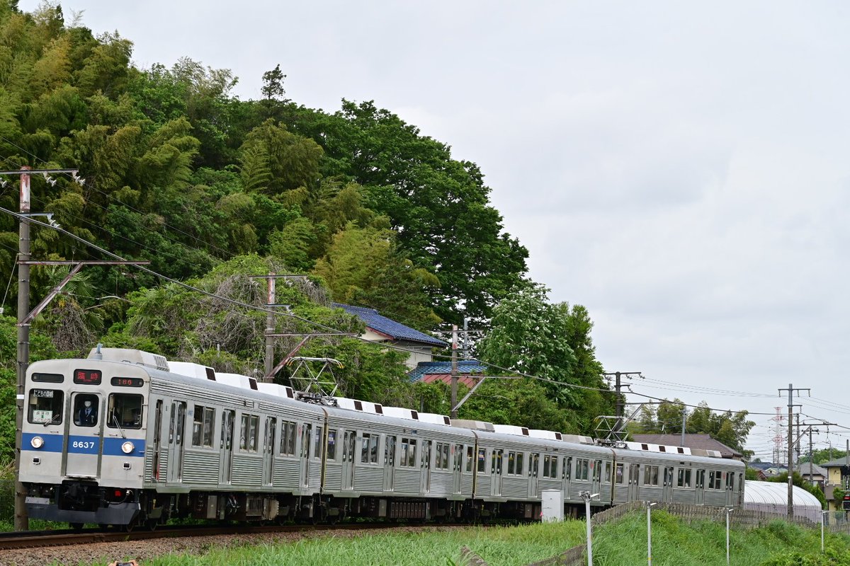 tmr20032006's tweet photo. 2026/05/06
GWの連休最終日は東急8500系の臨時列車を撮影にこどもの国線へ🚙
警備員の方が静かに見守る中、平和に撮影出来ました☺️ https://t.co/MTprnahhPO