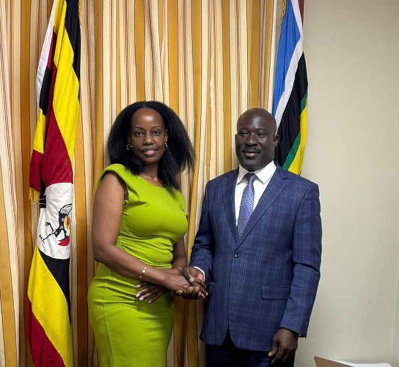 State House Diaspora Unit tweet media