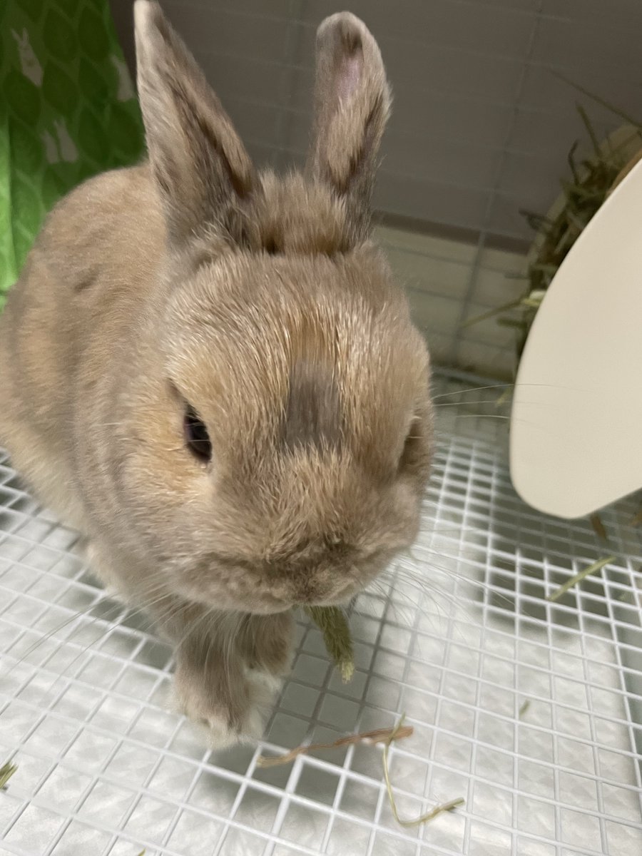 いっつみかん tweet media
