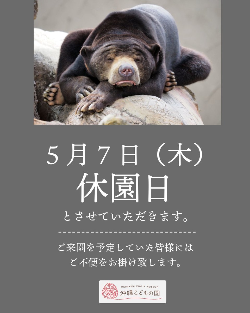 沖縄こどもの国 Okinawa Zoo & Museum(公式) tweet media