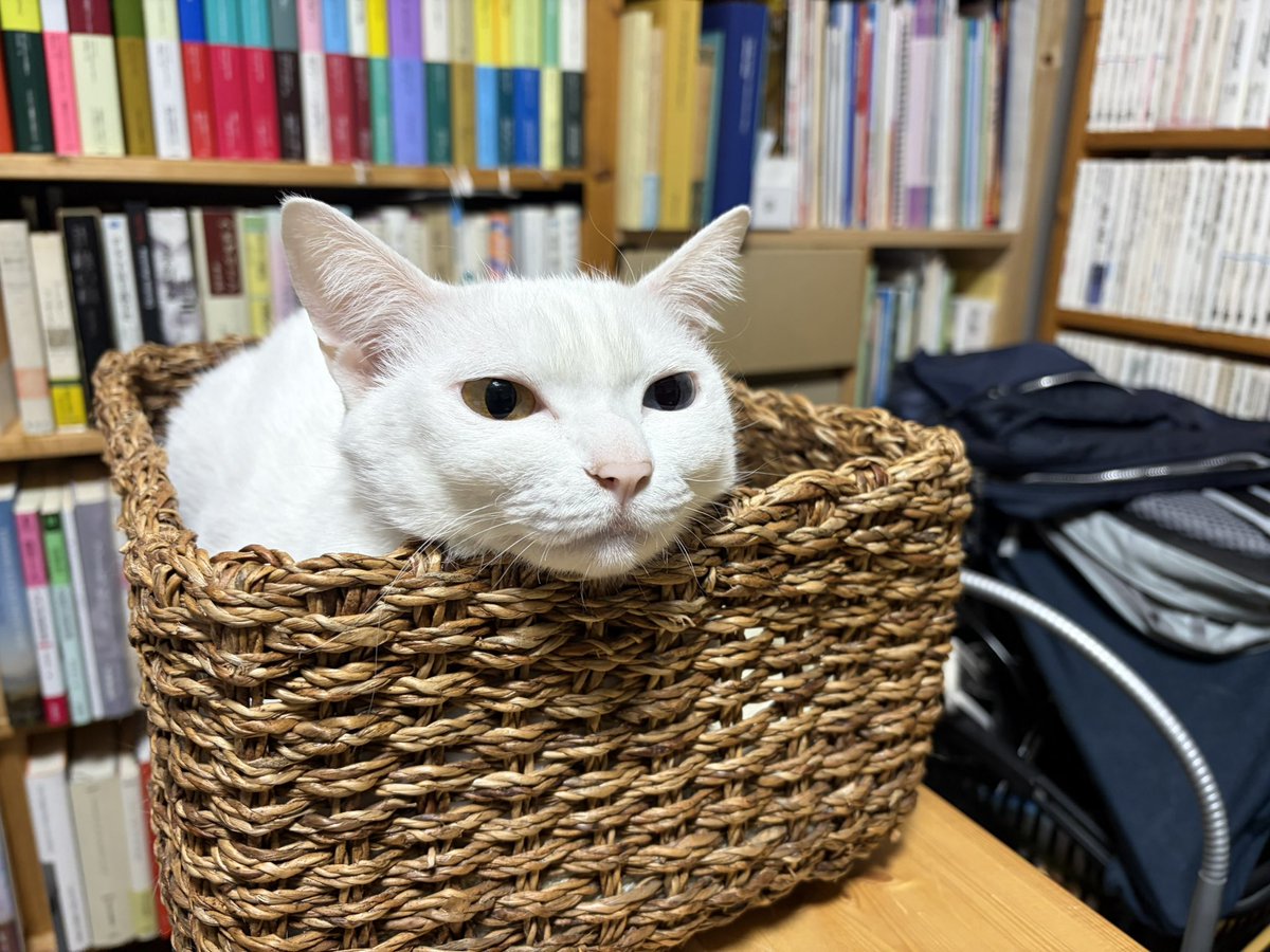 夜のくつろぎ