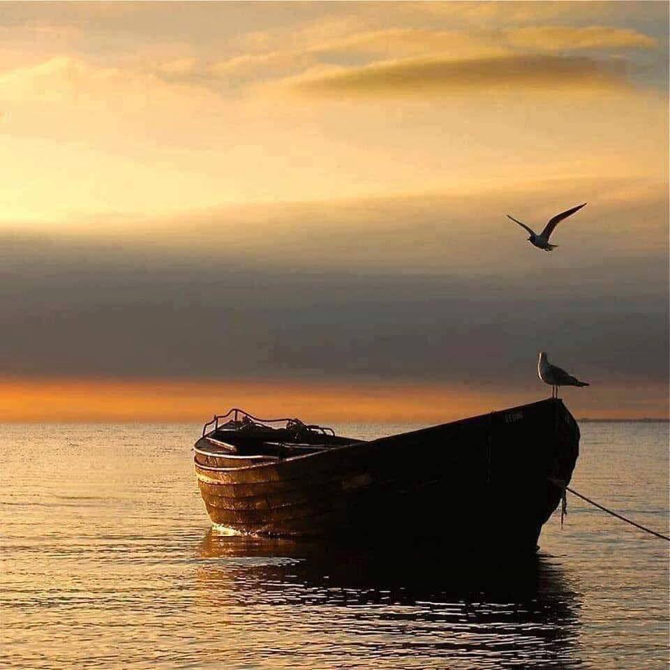 KenW9270's tweet photo. Good morning Twitterville 😁 https://t.co/YRzq134wik
