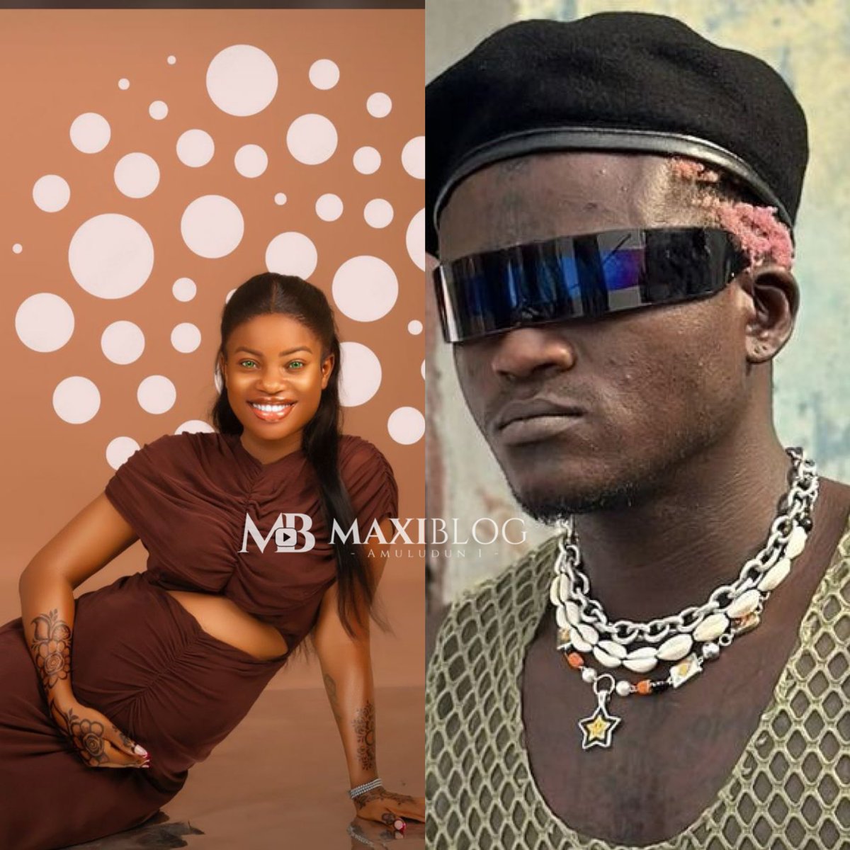 MAXIBLOG_NG tweet media