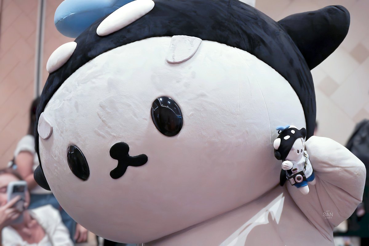 ₊°｡❆ ｍｙＳＡＮｄｉａｒｙ ❆｡°₊ tweet media