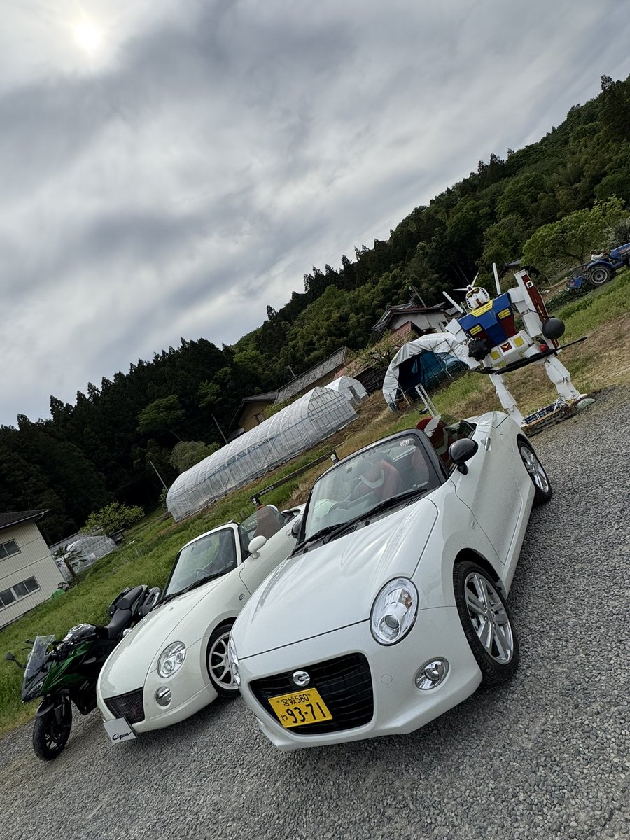 ひろひろ tweet media