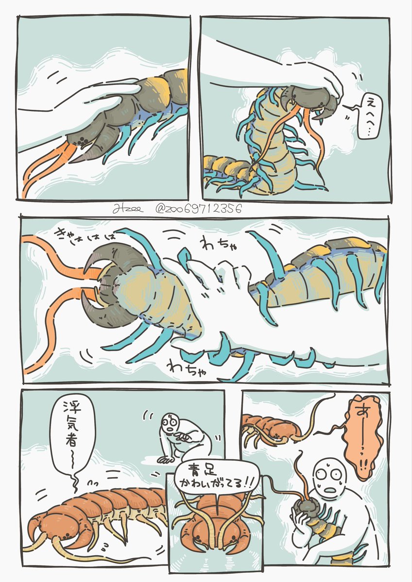 みzoo tweet media