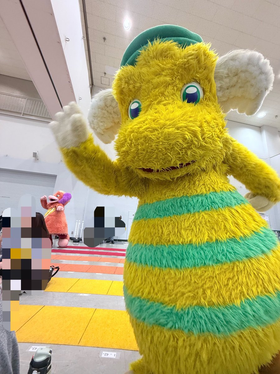 hiro_ixi's tweet photo. 春コンやファンファンフェスお疲れ様でした‼️ぐーちょこ回、現役お子様方と当時の子供達で盛り上がって超楽しかった☺️ぐ〜チョコランタンのみんなに会ったらとってもゆうぞうお兄さんとしょうこお姉さんに会いたくなっちゃった😭💦楽しくもあり、ちょっぴり切なくなったファンファンフェスでした🥲 https://t.co/boVsjMlMJh