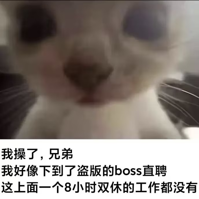 雲鳩 tweet media