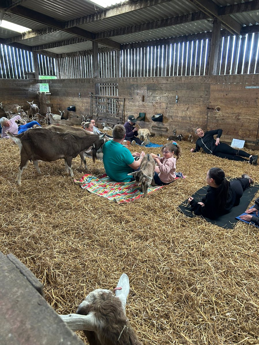 KidsforKids's tweet photo. Baby Goat Open Day at Wookey Farm in Somerset raised £481 to help Children in Darfur! 🐐

They held wildly popular Goat Pilates Classes and Tractor Trailer Rides - what an amazing farm 💛
https://t.co/Oe0XcNGP4a

#Goats #Sudan #Farm #Somerset https://t.co/u6xCPWASmg
