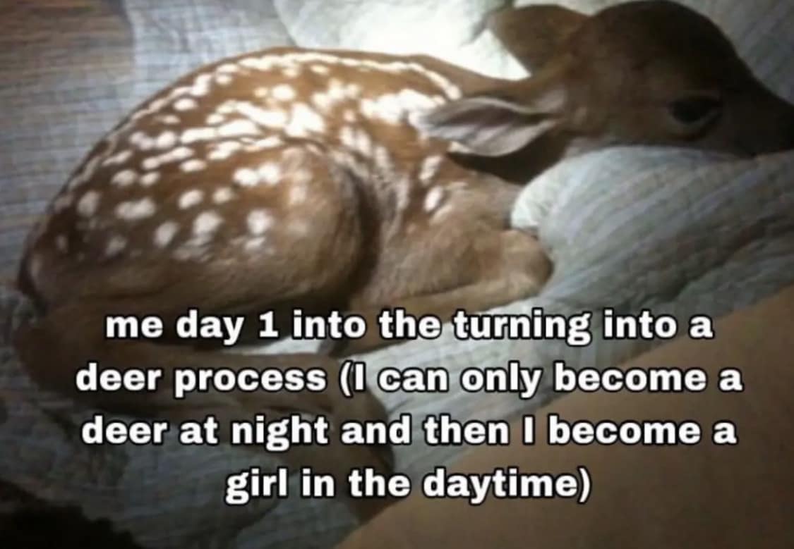 Tinydeerposts🏳️‍⚧️🦌 KandiDeerRaver tweet media