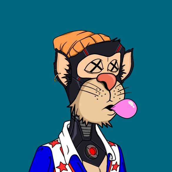Bored Cats Yacht Club (BCYC) tweet media