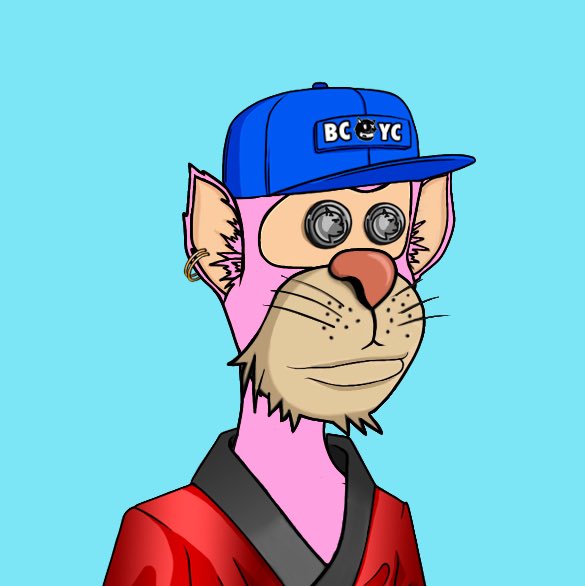 Bored Cats Yacht Club (BCYC) tweet media