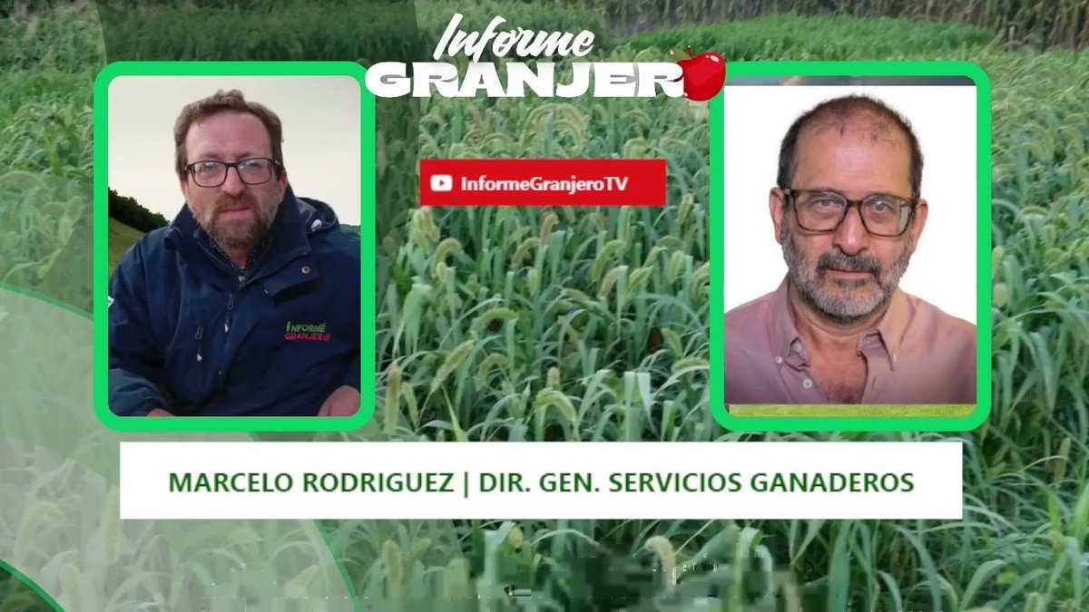 GranjeroInforme's tweet photo. Cese emergencia sanitaria aviar, endurecimiento sanciones por mal uso de garrapaticidas y vacunación aftosa. ENTREVISTA CON MARCELO RODRIGUEZ DIRECTOR SERVICIOS GANADEROS MGAP https://t.co/KRKA8ZUJqW https://t.co/84GLa1uORe