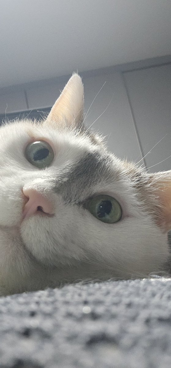 _Lu_kael's tweet photo. 옹이 근접촬영 https://t.co/BxRKQ9Wt7a