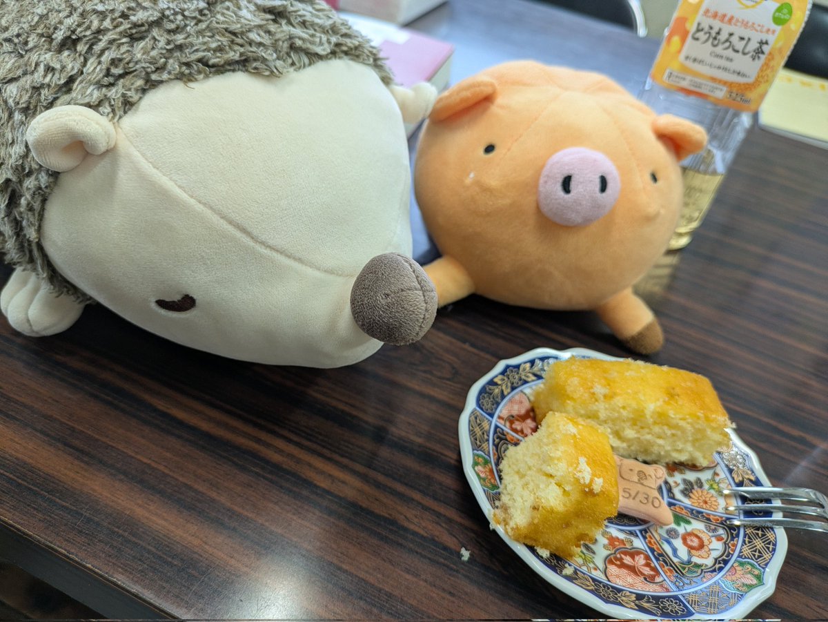 にゃー吉 (@nya_kichi_1215) / Posts / X