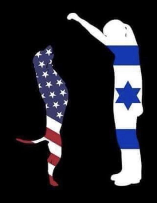 chef13251's tweet photo. @BillWhiteUSA quel pays tu représentes ?
J'ai comme l'impression Que tu fais le petit chien pour une certaine religion, et pas pour un pays. https://t.co/uOJx18HpbC