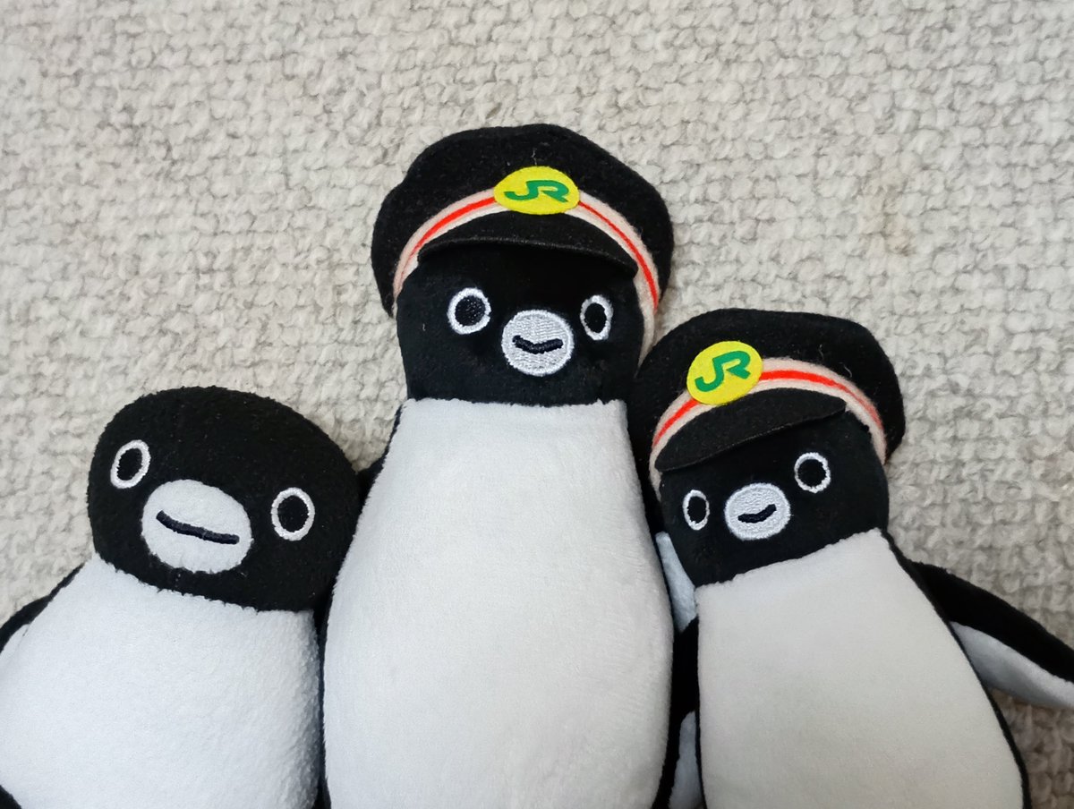 ボク達は砂漠に住んでいるペンギンです 規則正しい生活を送っています