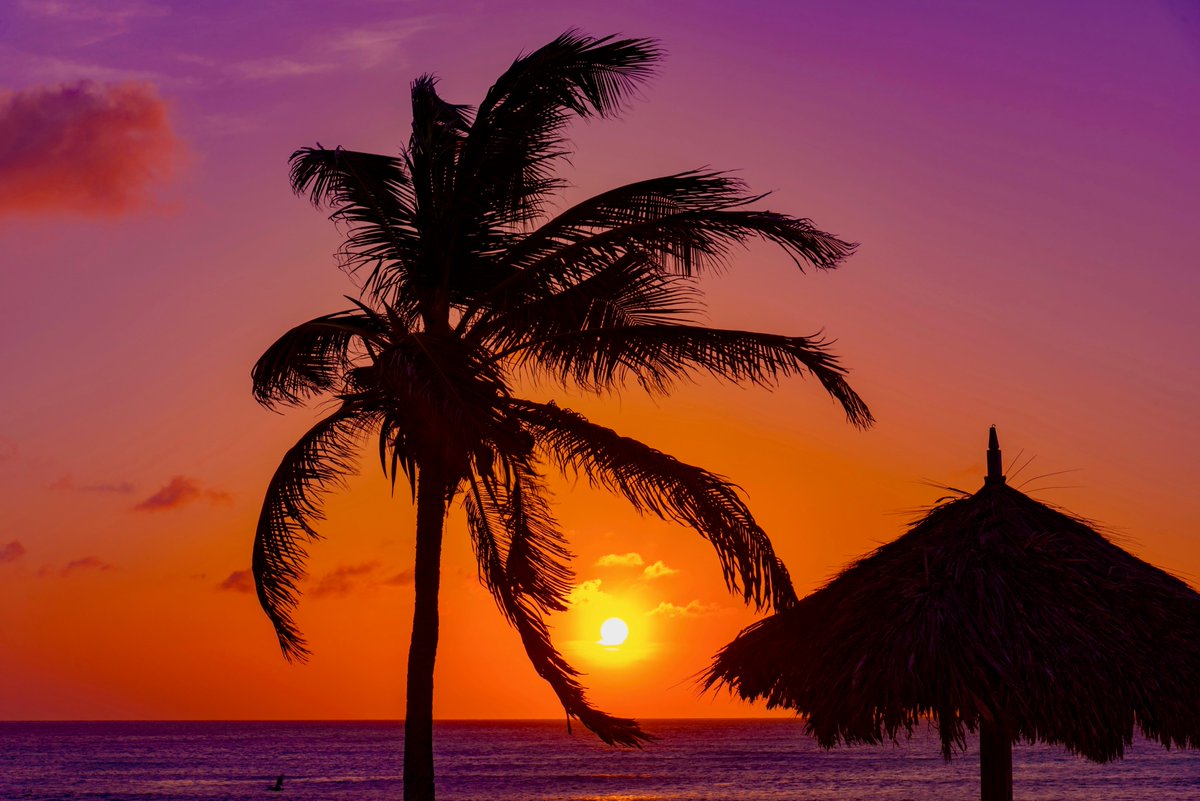 MarryCaribbean's tweet photo. 🌺☀️ Aruba is famous for its sunny weather and cooling trade winds, and Aruba’s tourism board says the island’s tropical air helps create the spectacular colors people see at sunset.

🏝️💙 For more beautiful destinations, visit https://t.co/0Qo5Fp2ke4

#Aruba #MarryCaribbean https://t.co/gjuGBedAcm