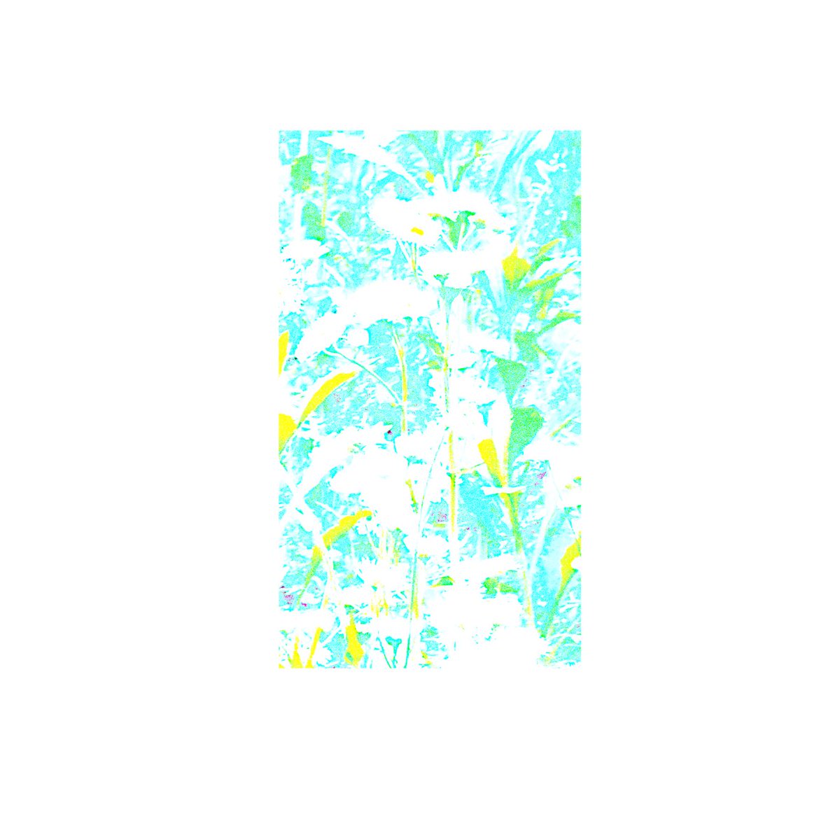 喪服 tweet media