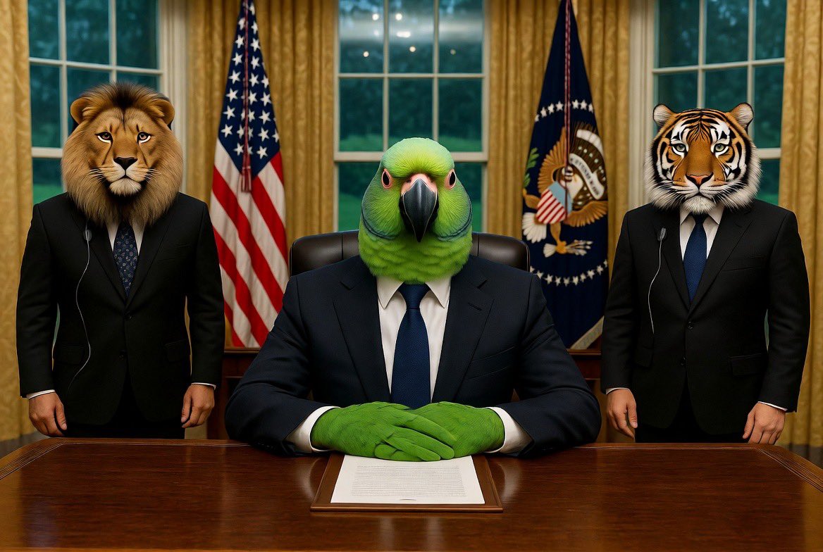 theamazonparrot's tweet photo. Hello animals of #animaltwt

Important announcement coming up soon
@LionInCrisis
@PolarBearCrisis
@Eagleincrises
@hogincrisis
@pigincrisis
@cowincrisis
@horsetwting
@BluffenPuffin
@BlindMole69
@BuffaloInCrises
@burritodog_
@sharkincrisis https://t.co/cz5i70lZLK